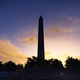 The Division 2